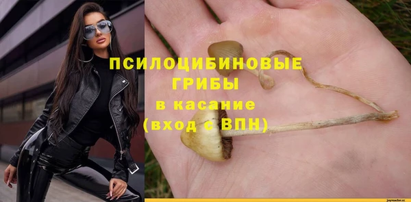 ешки Абдулино