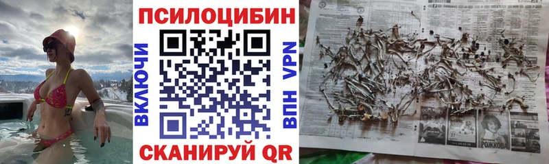 Псилоцибиновые грибы MAGIC MUSHROOMS  где можно купить   Абаза 